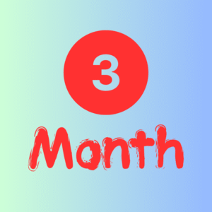 3 Months Subscription Plus 4k