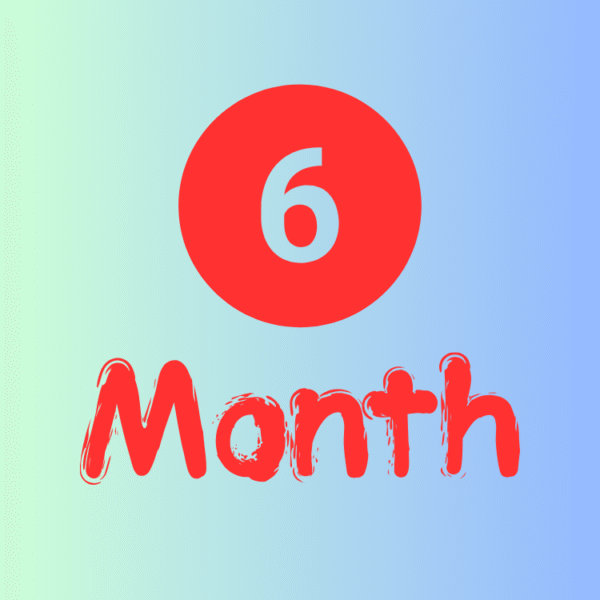 6 Months Subscription Plus 4k