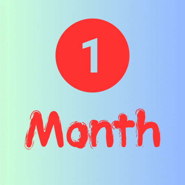 1 Month Subscription Plus 4k